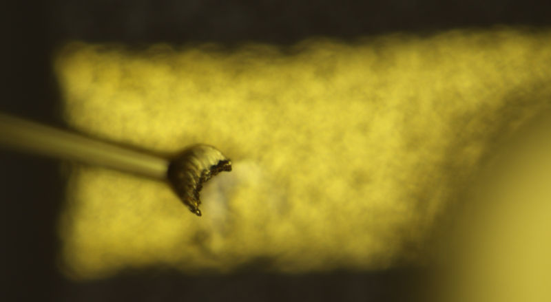 Broken bond wire with focal plane on the wire